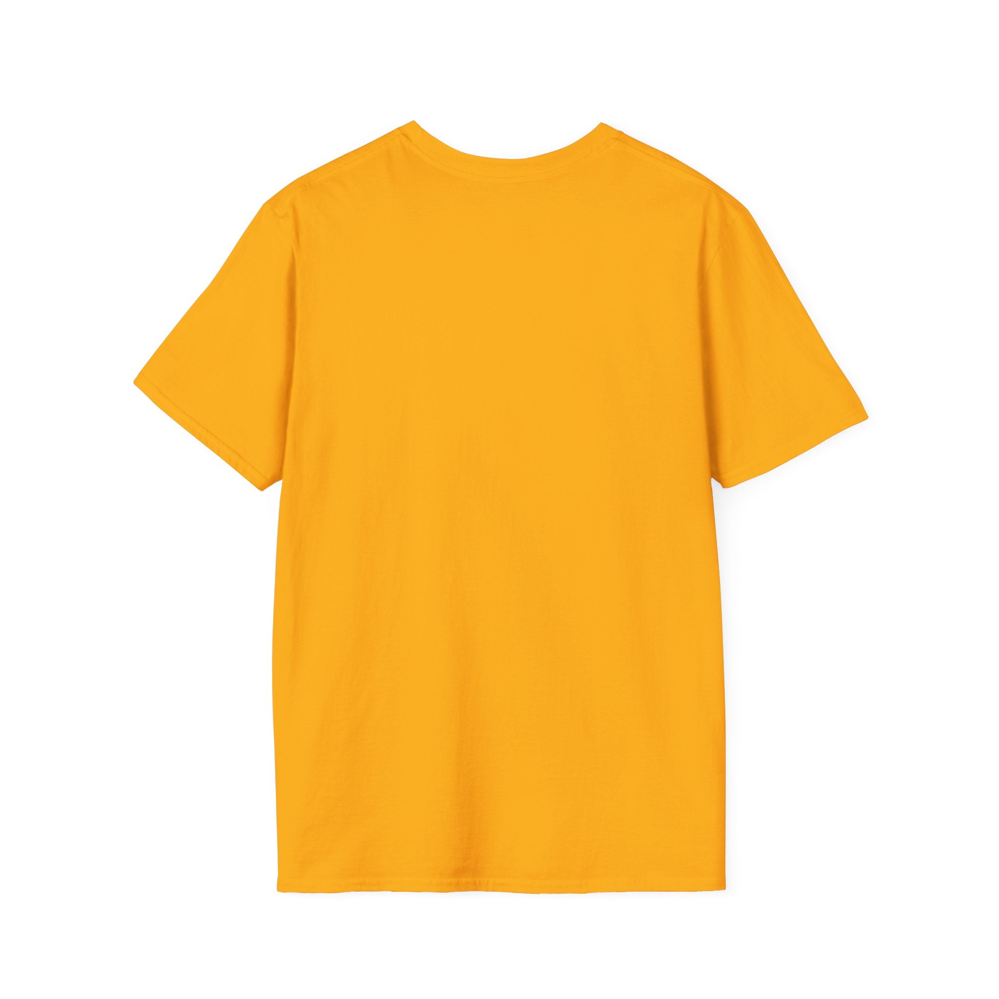 Diabetes Is Bullshit T-Shirt — Bold Type 1 Diabetes Awareness Tee